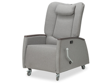 Load image into Gallery viewer, Park Recliner